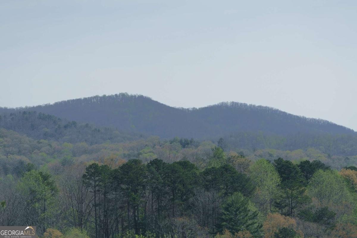 210 Canal Lake Road Blairsville - Photo 78
