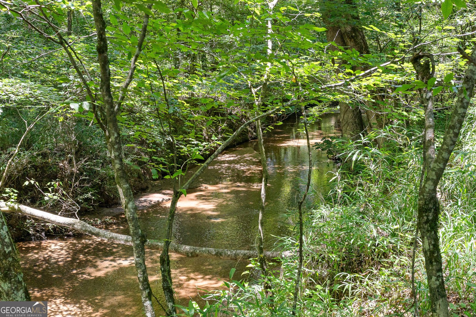 493 Boone Road Newnan - Photo 24