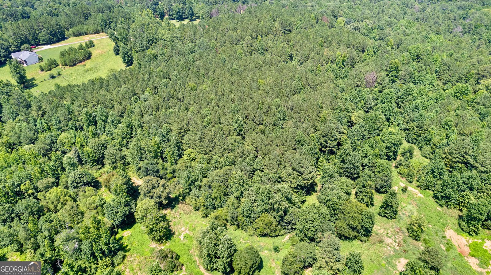 493 Boone Road Newnan - Photo 59