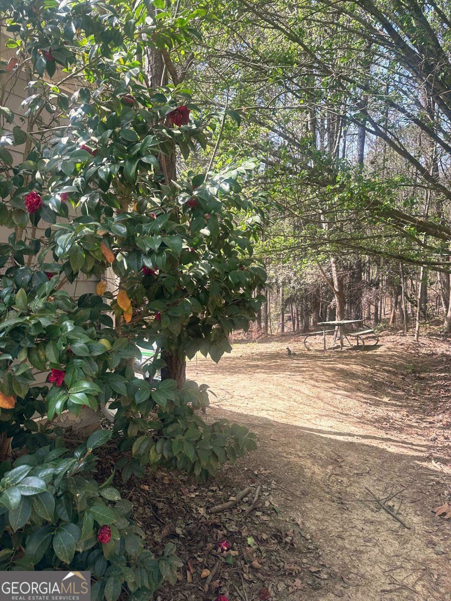 2072 Amberly Crossing Lane Dacula - Photo 16