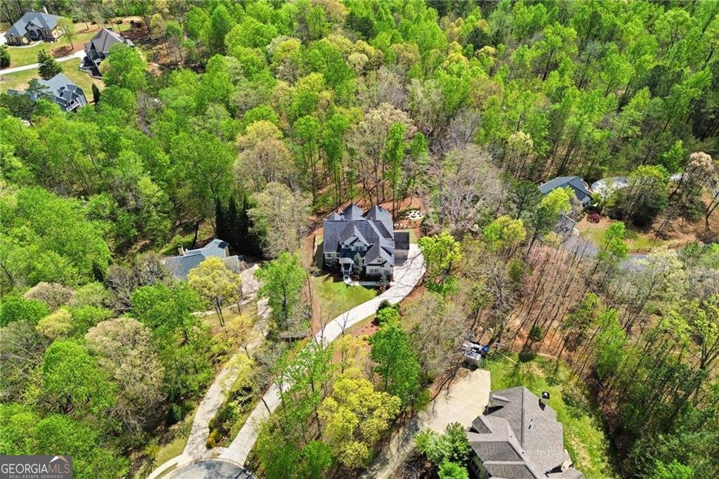 86 Stony Court Dawsonville - Photo 57