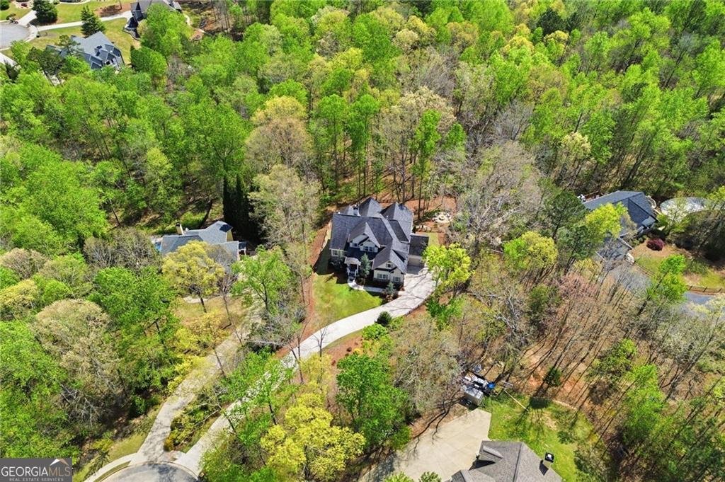 86 Stony Court Dawsonville - Photo 59