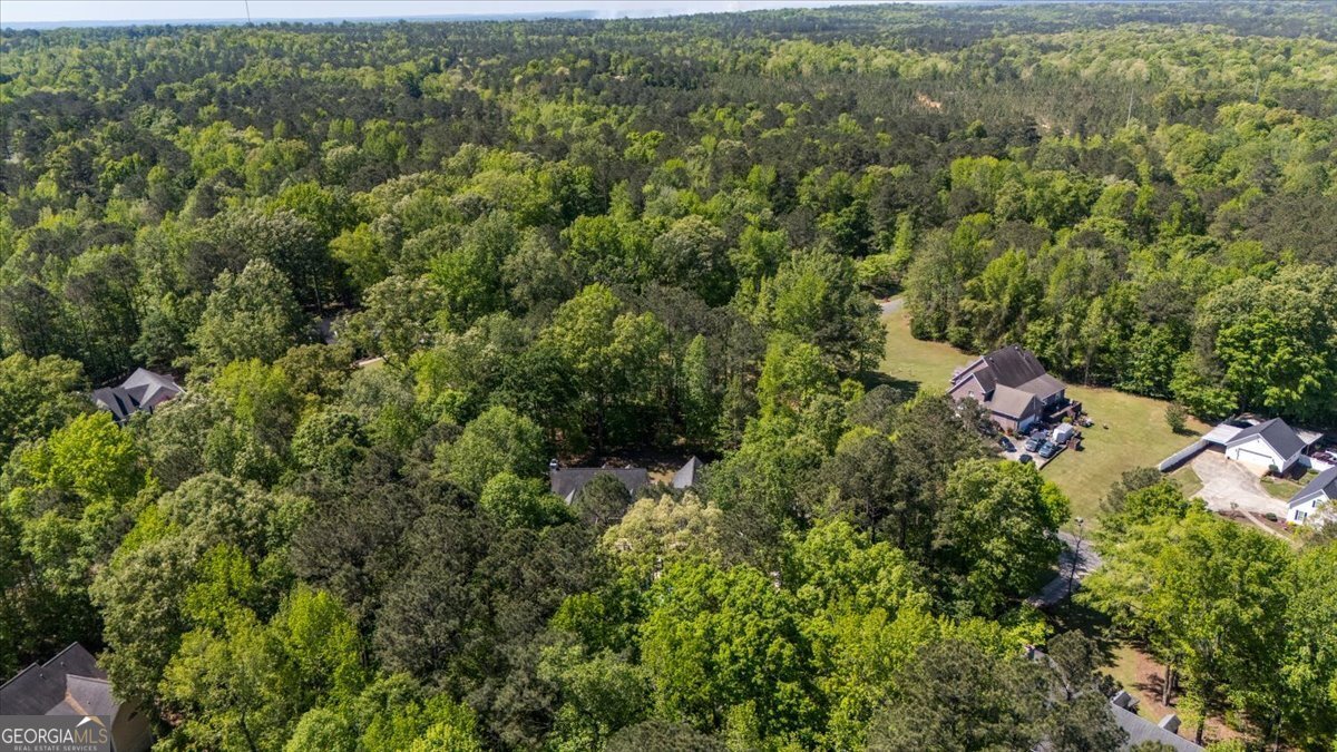 117 Island View Drive Lizella - Photo 62