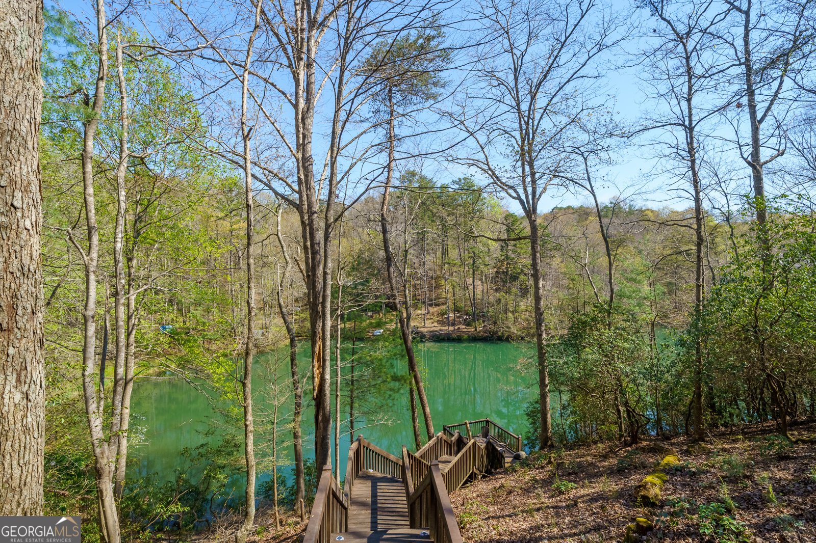 942 Granny Branch Drive Blue Ridge - Photo 46