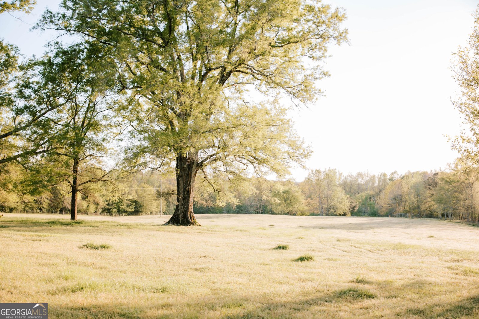 4424 Ansley Road Warrenton - Photo 11