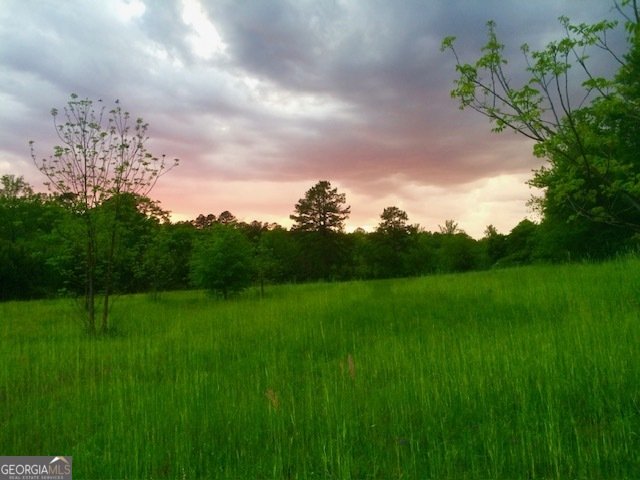 4424 Ansley Road Warrenton - Photo 54