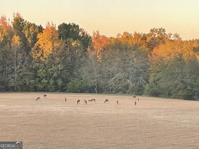 4424 Ansley Road Warrenton - Photo 59