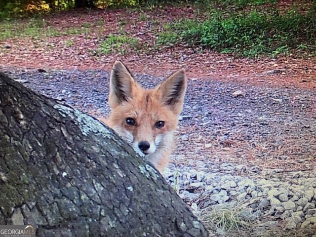 4424 Ansley Road Warrenton - Photo 62