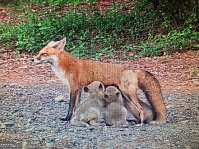 4424 Ansley Road Warrenton - Photo 63