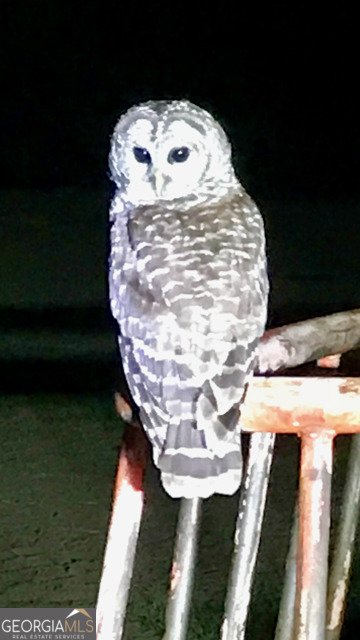 4424 Ansley Road Warrenton - Photo 69