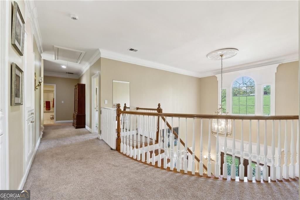 2230 Henry Scott Road Ball Ground - Photo 46