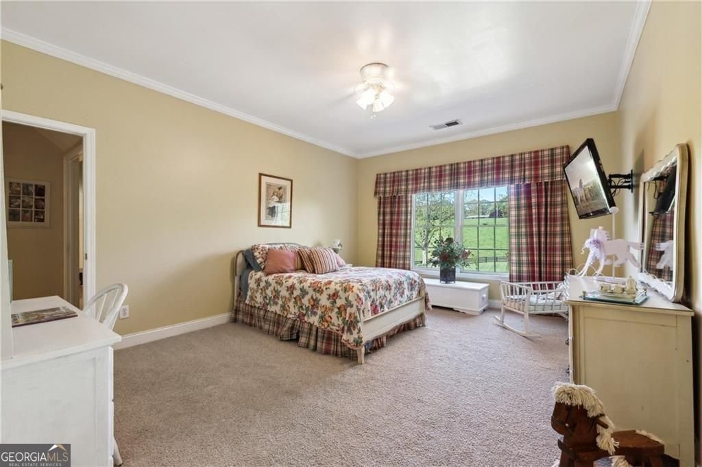 2230 Henry Scott Road Ball Ground - Photo 49