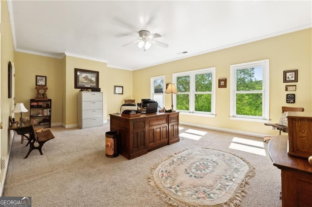 2230 Henry Scott Road Ball Ground - Photo 53