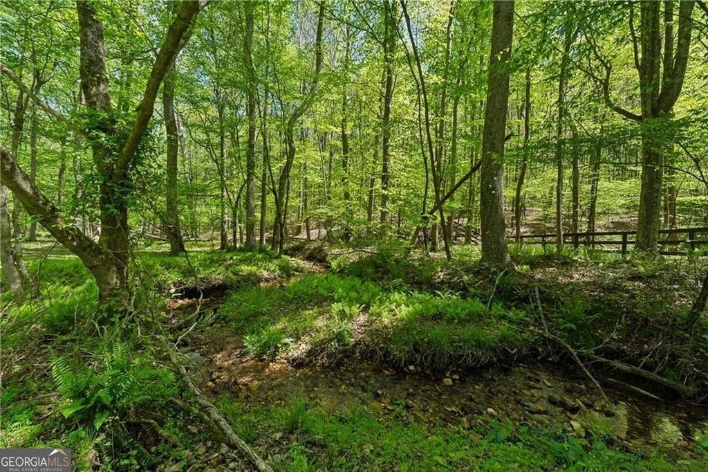 2230 Henry Scott Road Ball Ground - Photo 81