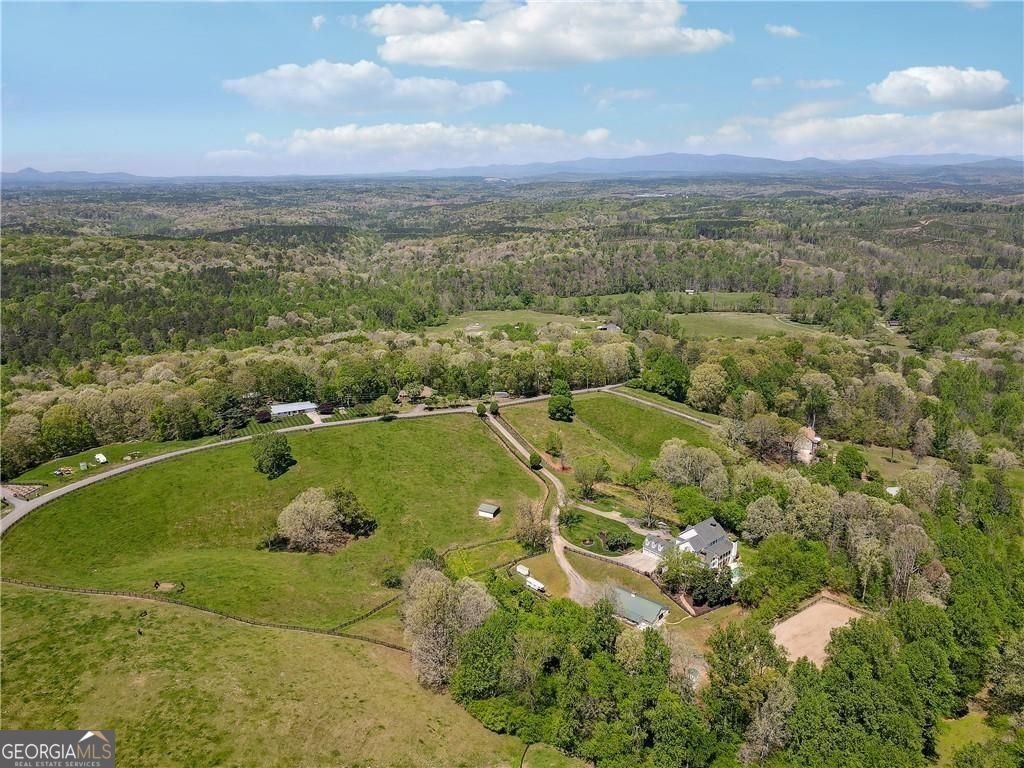 2230 Henry Scott Road Ball Ground - Photo 88