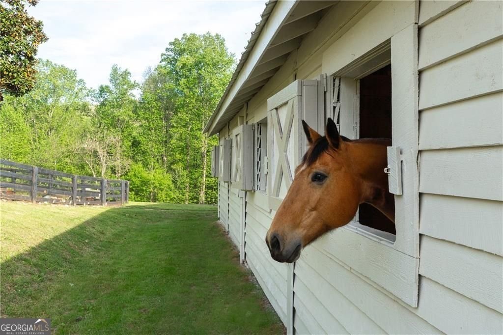 2230 Henry Scott Road Ball Ground - Photo 9