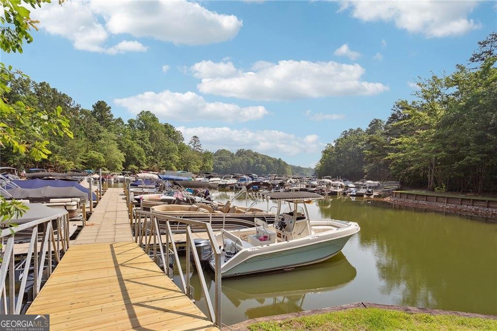 494 River Overlook Road Dawsonville - Photo 102