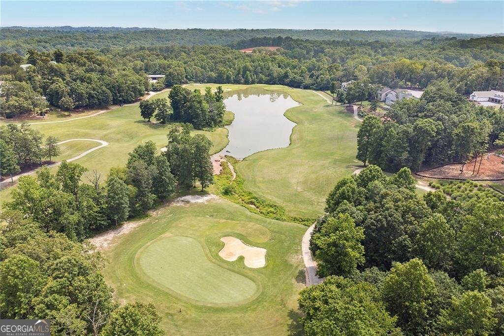 494 River Overlook Road Dawsonville - Photo 103