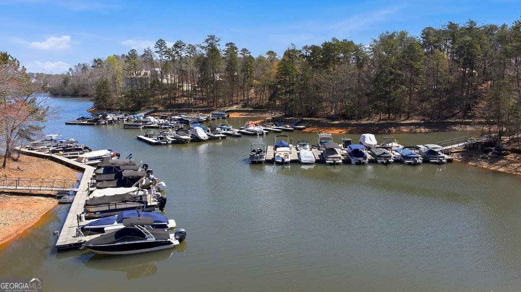 494 River Overlook Road Dawsonville - Photo 108