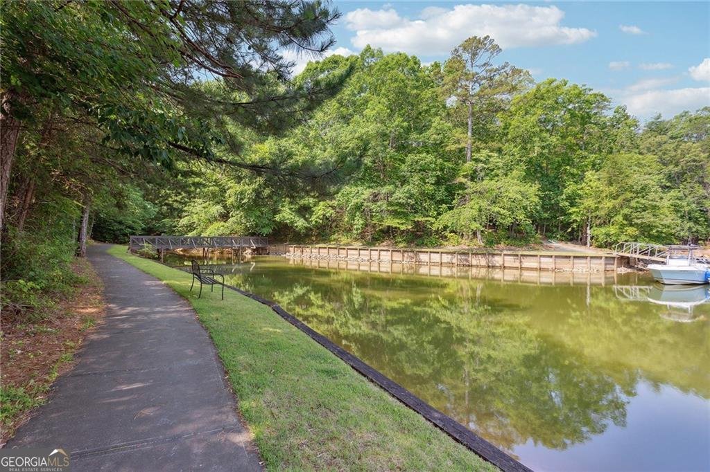 494 River Overlook Road Dawsonville - Photo 96