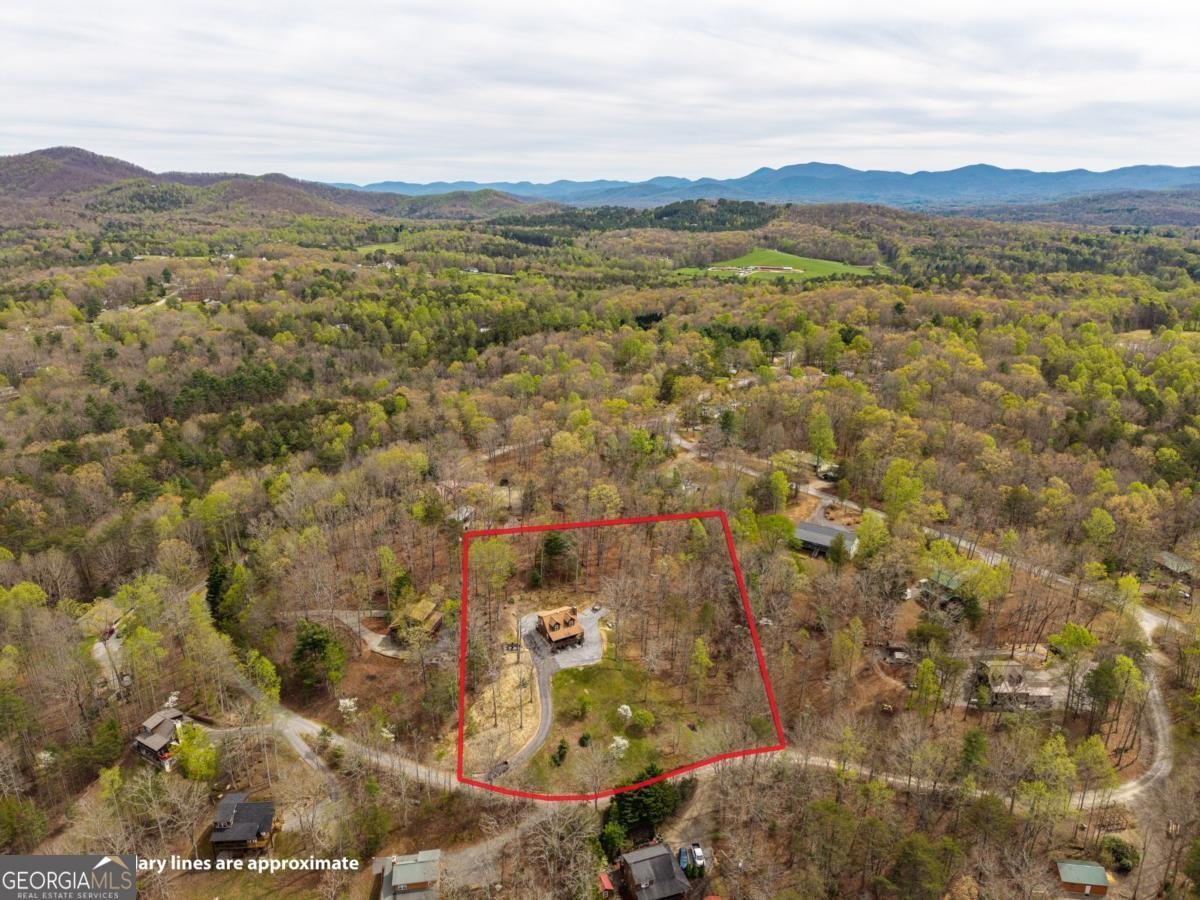 239 Northwoods Circle Blairsville - Photo 65