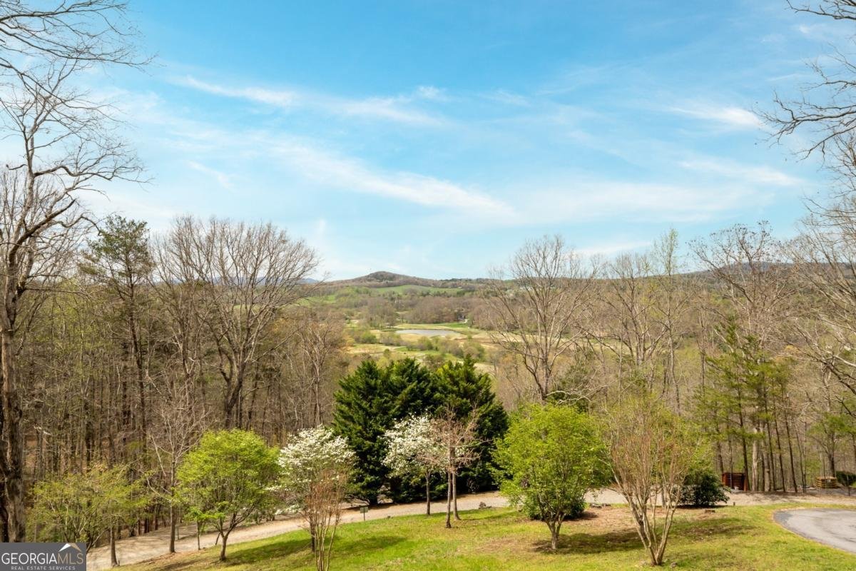 239 Northwoods Circle Blairsville - Photo 67