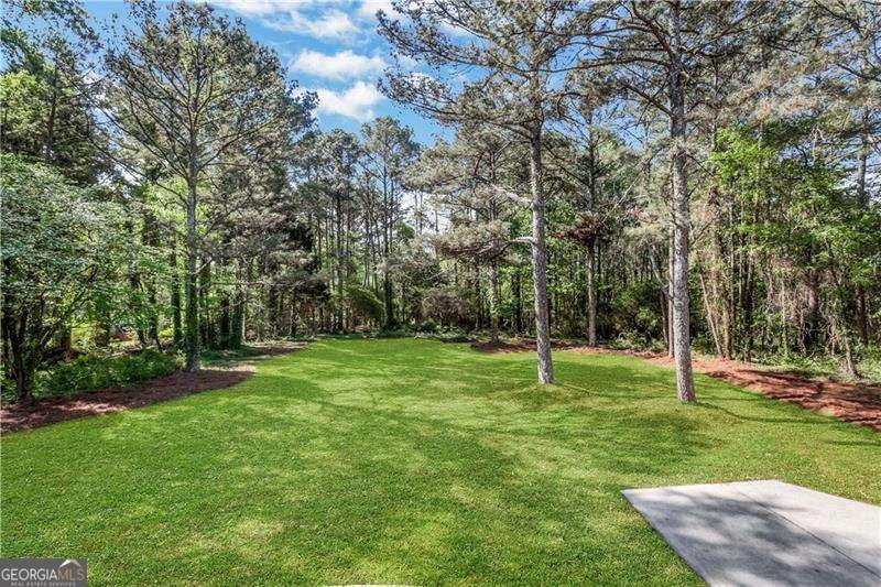 1621 Annapolis Way Grayson - Photo 70