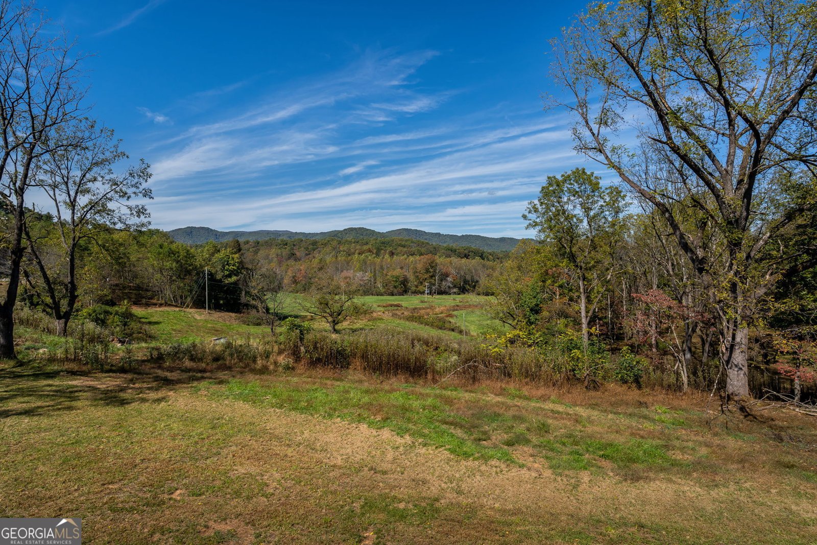 7590 Mobile Road Blue Ridge - Photo 53