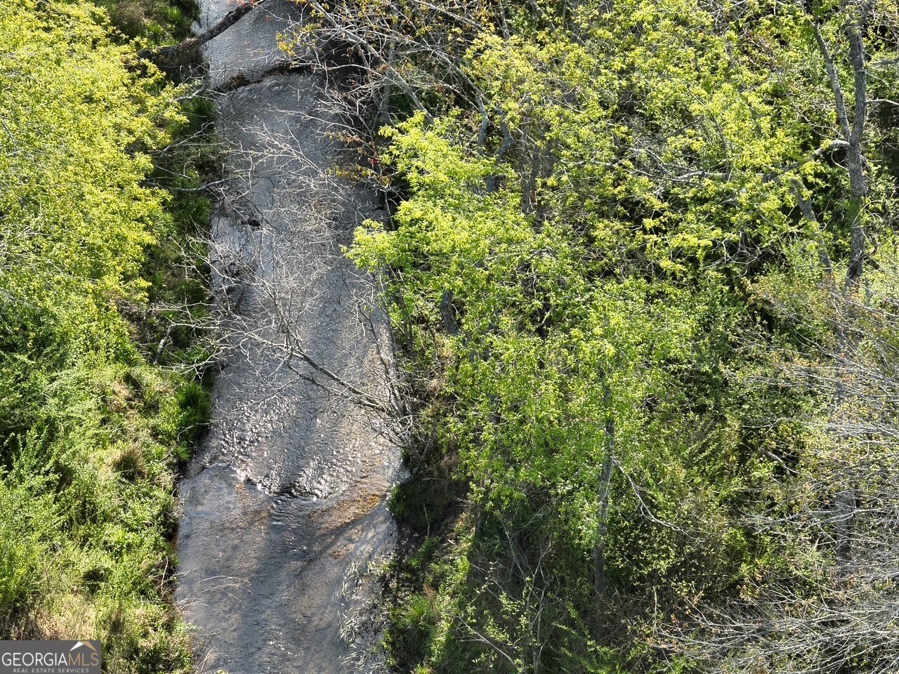 7590 Mobile Road Blue Ridge - Photo 74