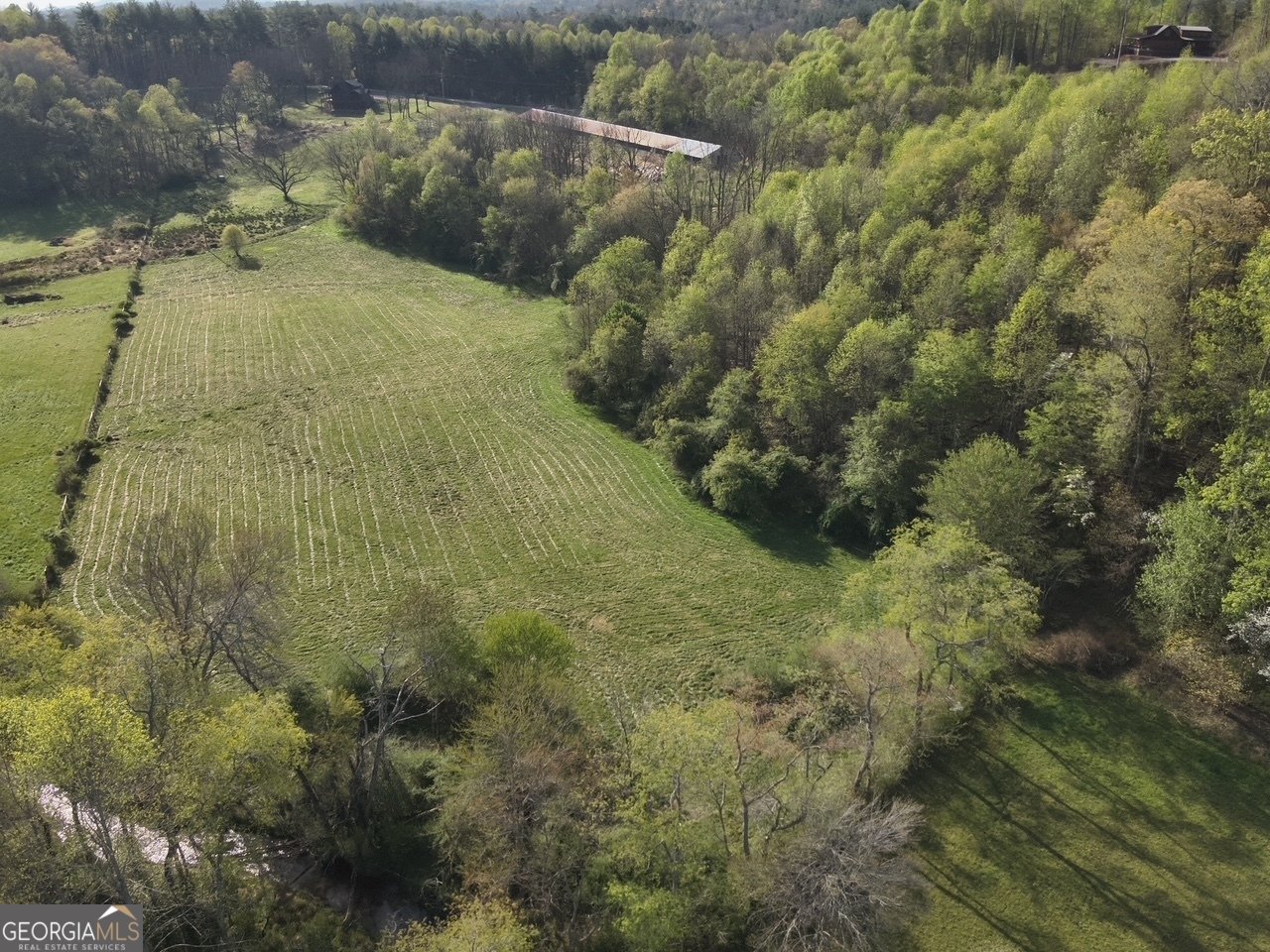 7590 Mobile Road Blue Ridge - Photo 76