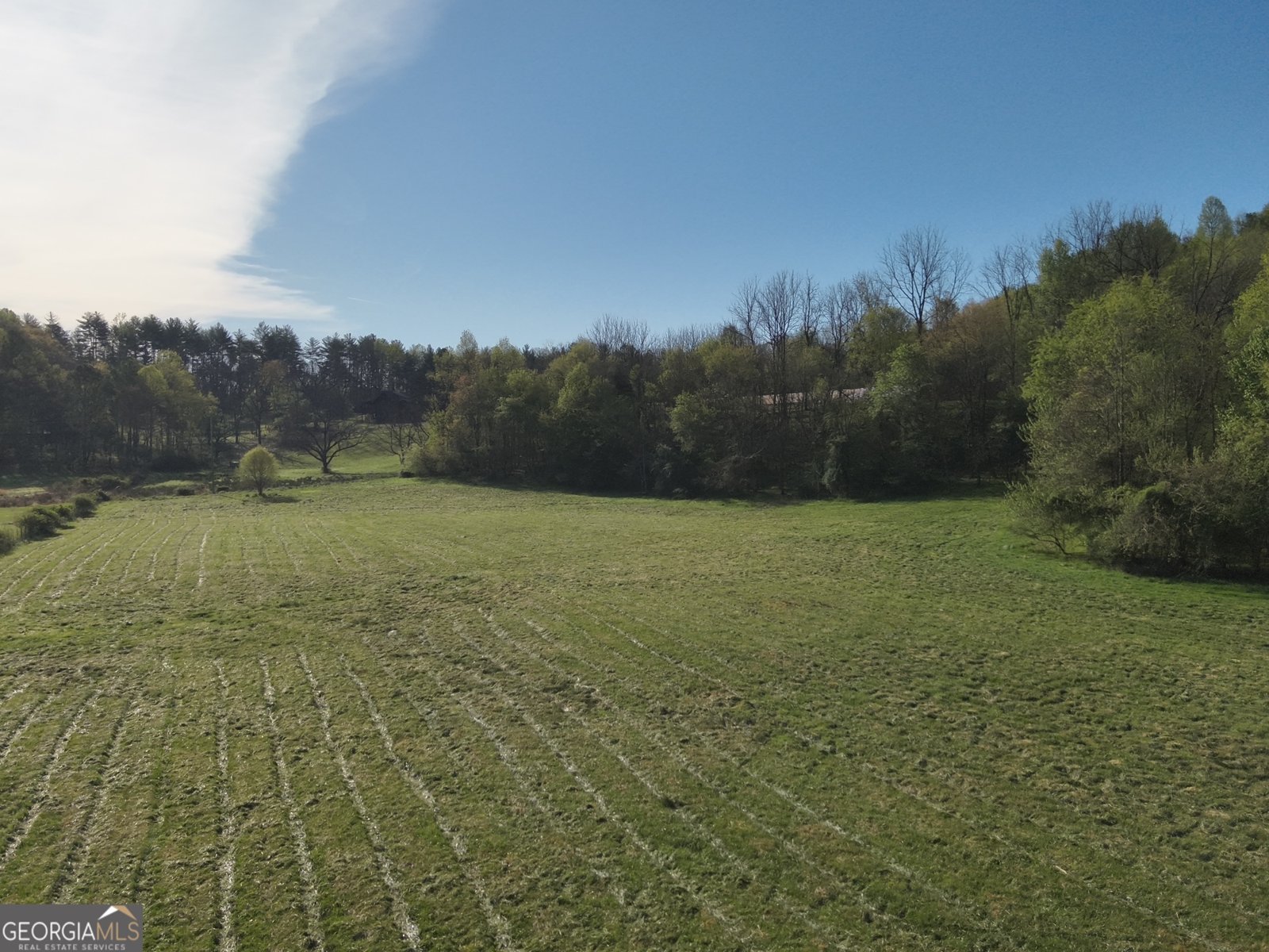 7590 Mobile Road Blue Ridge - Photo 77