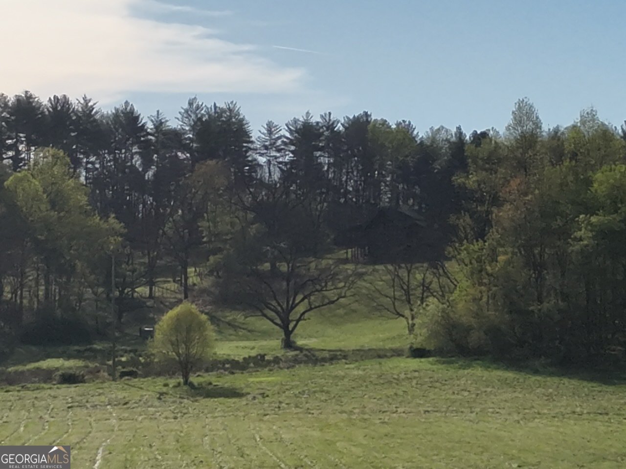 7590 Mobile Road Blue Ridge - Photo 78