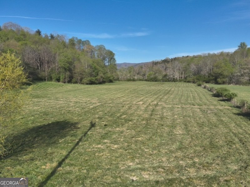 7590 Mobile Road Blue Ridge - Photo 80