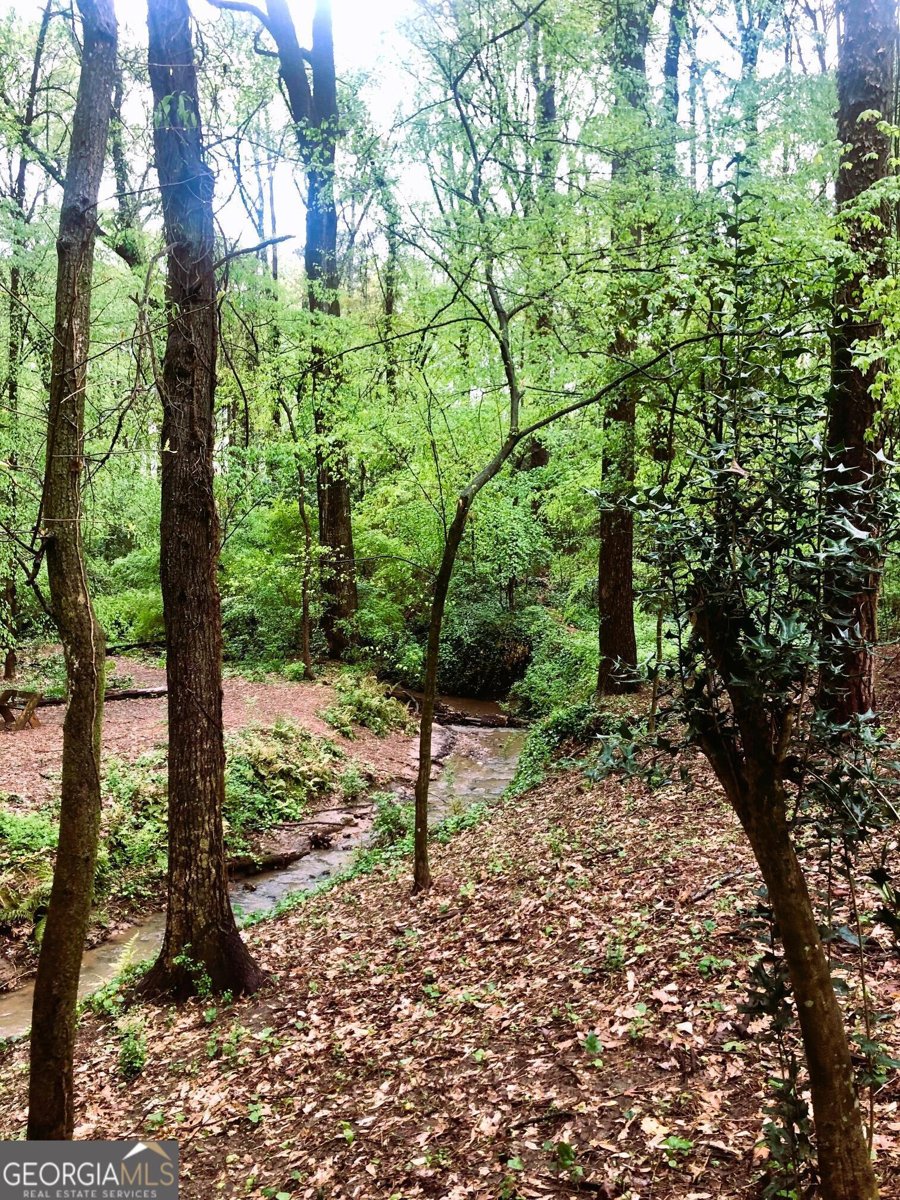 104 Fairview Street Decatur - Photo 38