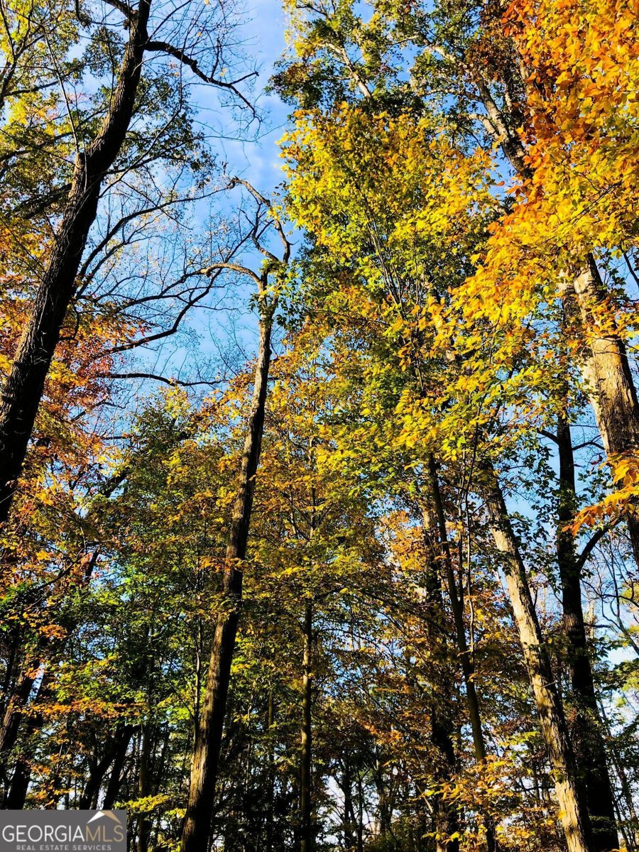 104 Fairview Street Decatur - Photo 39