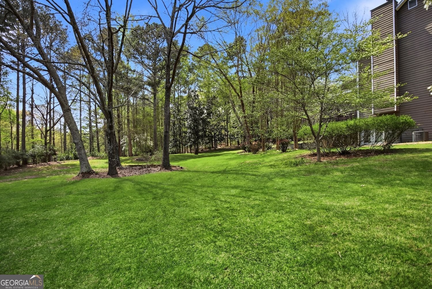 104 Crabapple Springs Drive Woodstock - Photo 53