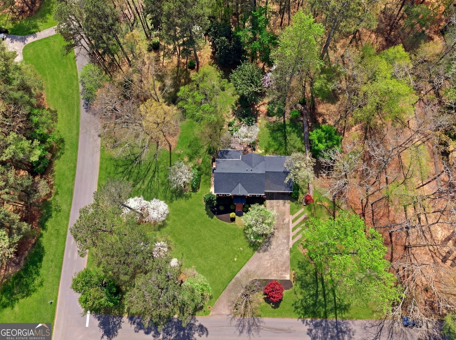 104 Crabapple Springs Drive Woodstock - Photo 62