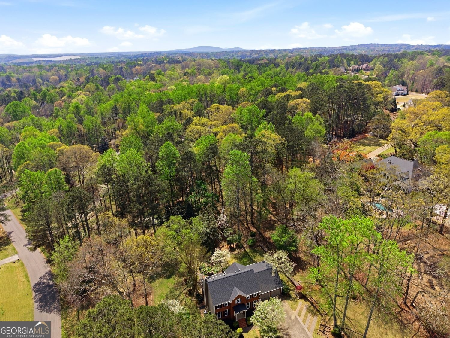 104 Crabapple Springs Drive Woodstock - Photo 64