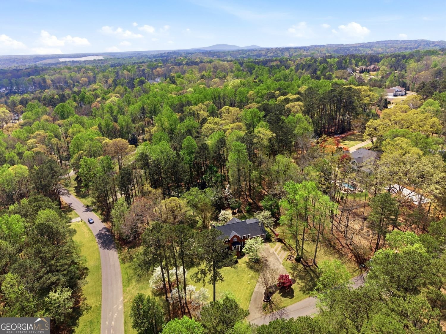 104 Crabapple Springs Drive Woodstock - Photo 65