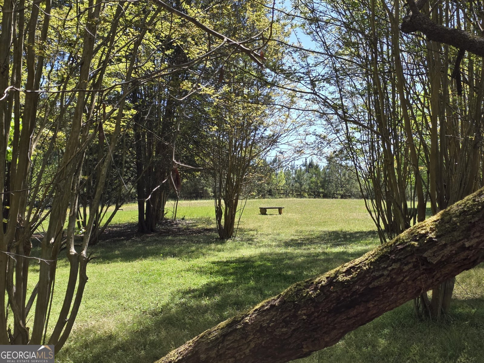 9120 Wilkerson Mill Road Chattahoochee Hills - Photo 102