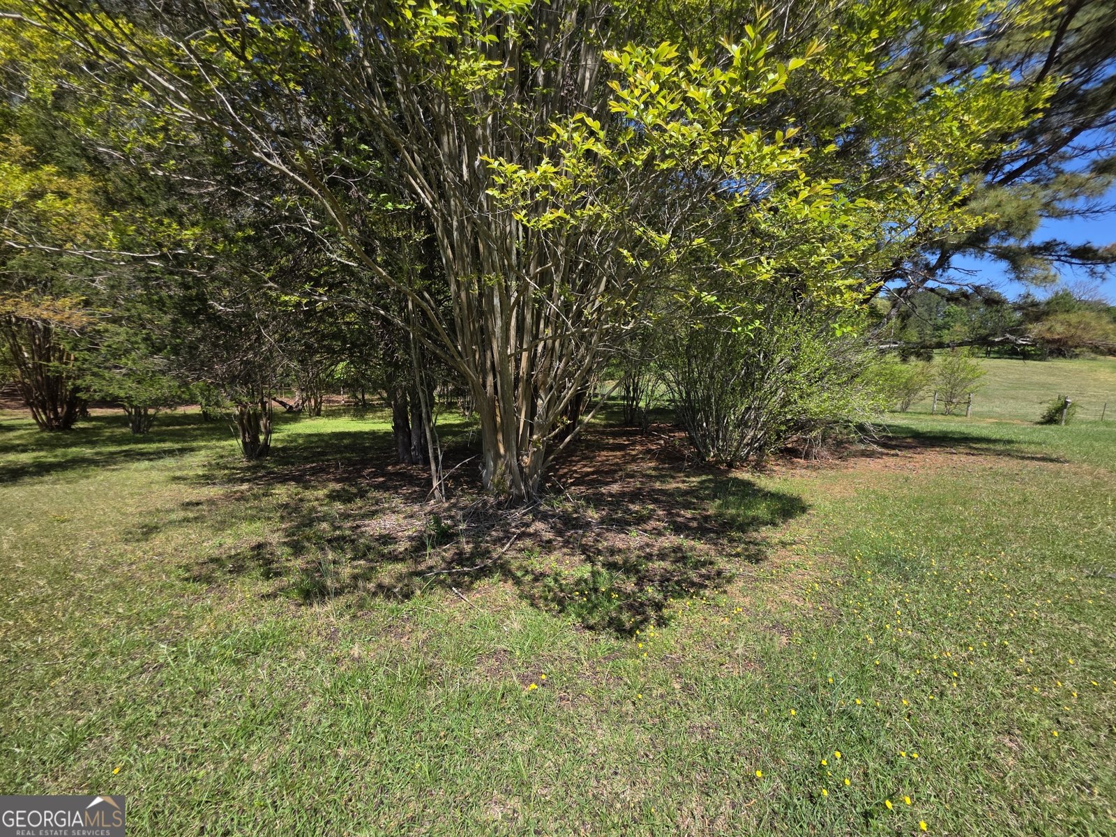 9120 Wilkerson Mill Road Chattahoochee Hills - Photo 104