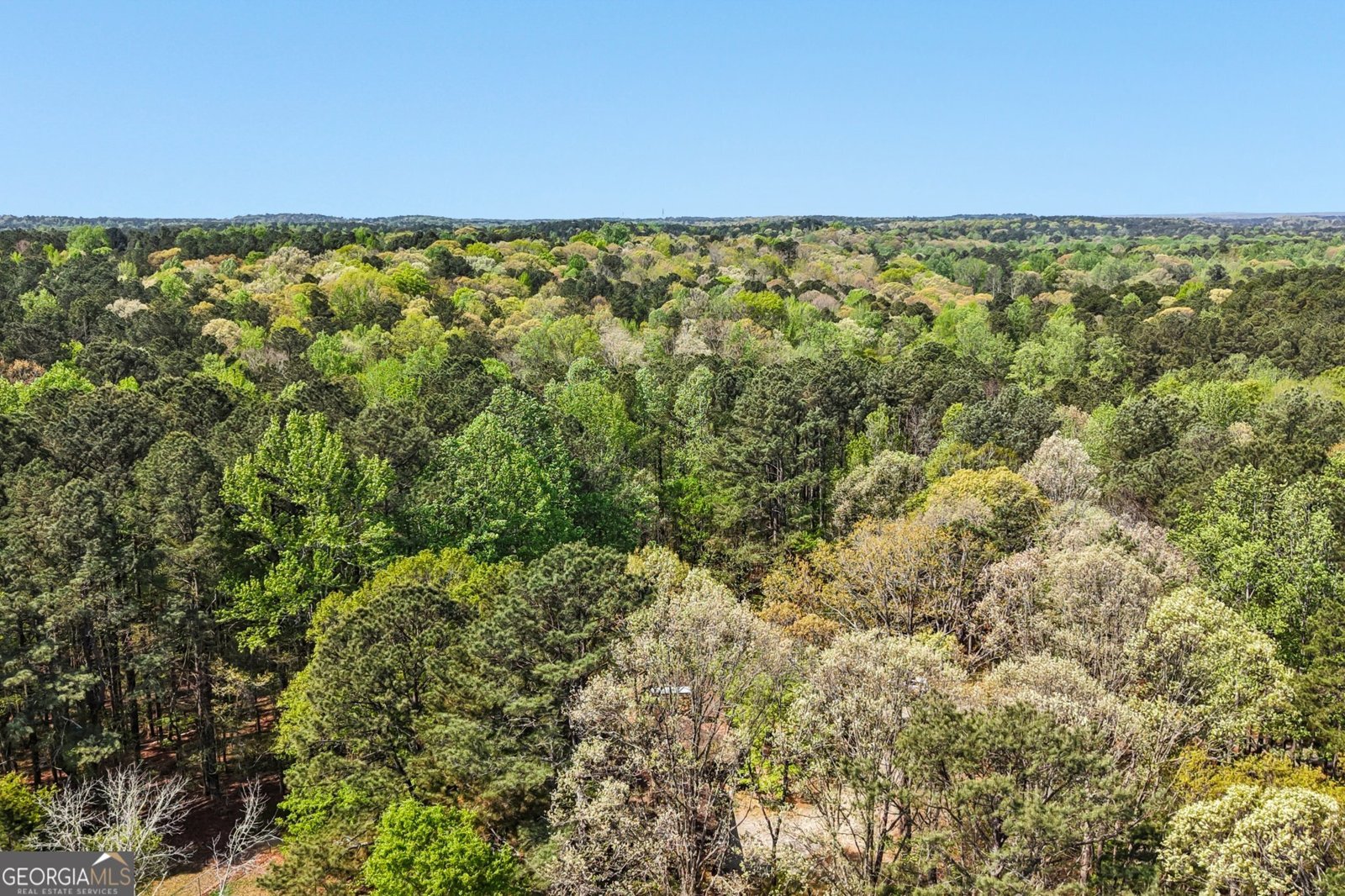 9120 Wilkerson Mill Road Chattahoochee Hills - Photo 69