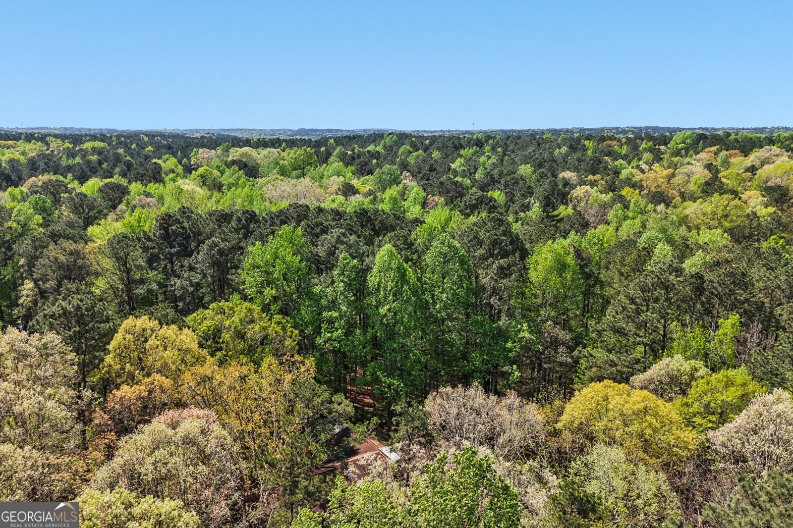 9120 Wilkerson Mill Road Chattahoochee Hills - Photo 70