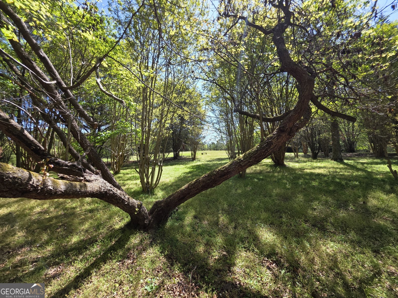 9120 Wilkerson Mill Road Chattahoochee Hills - Photo 77