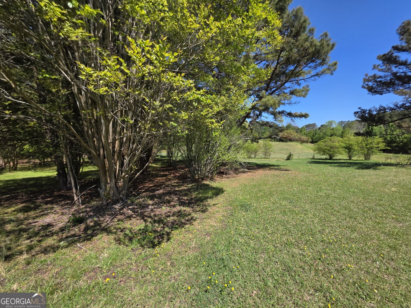 9120 Wilkerson Mill Road Chattahoochee Hills - Photo 85