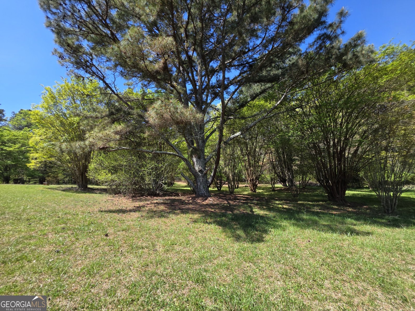 9120 Wilkerson Mill Road Chattahoochee Hills - Photo 88