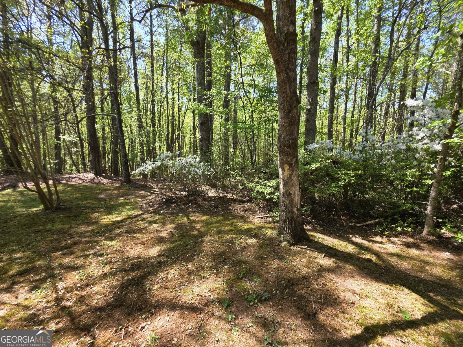 9120 Wilkerson Mill Road Chattahoochee Hills - Photo 90