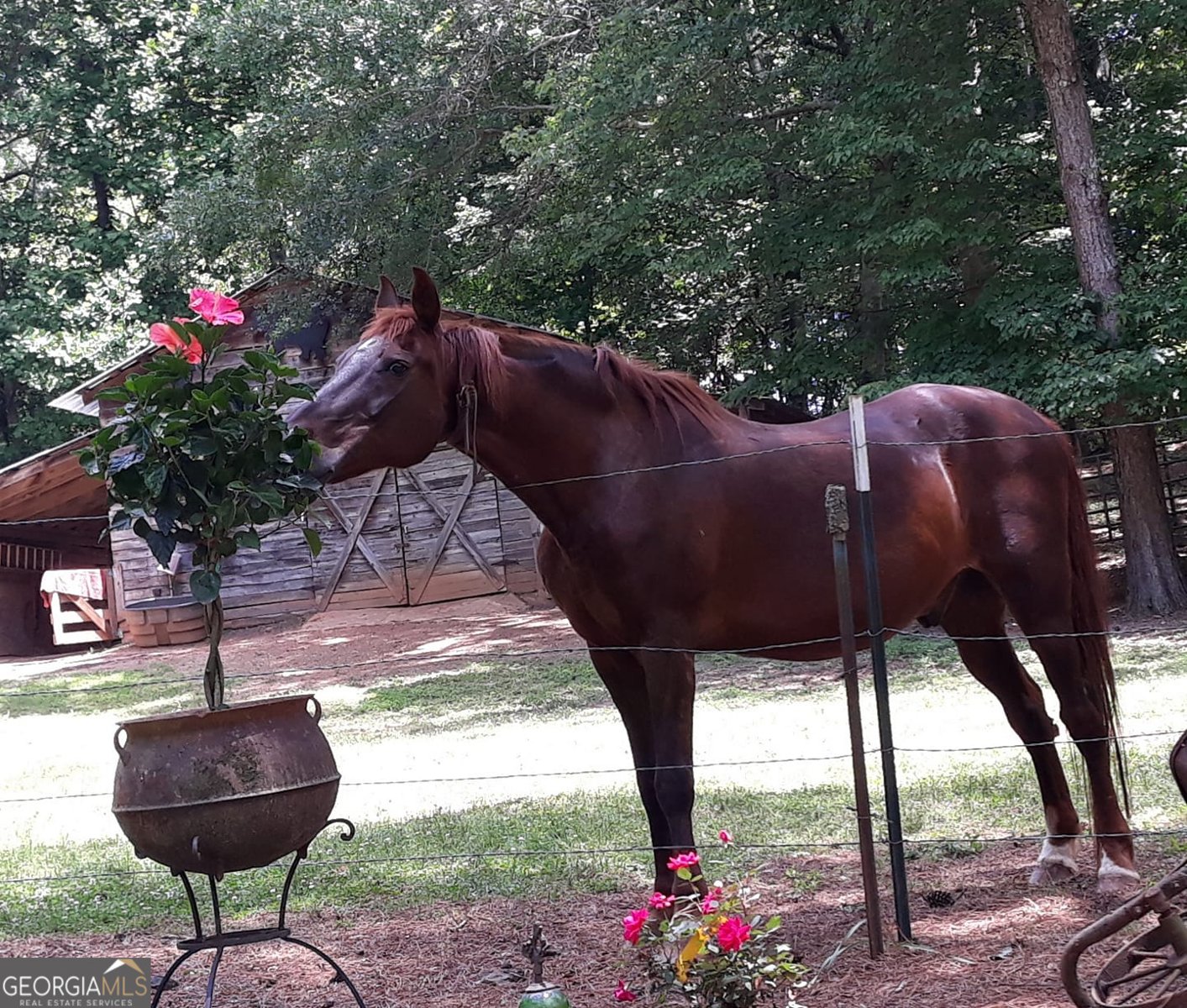 9120 Wilkerson Mill Road Chattahoochee Hills - Photo 95