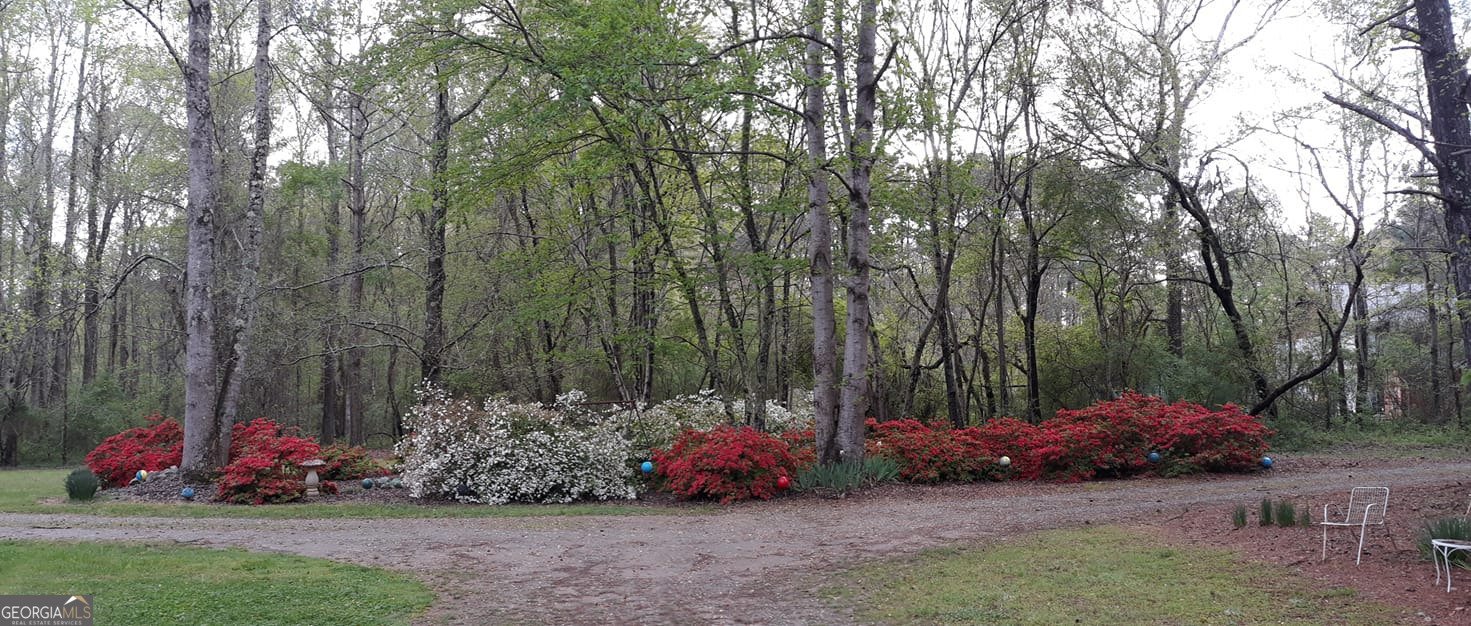 9120 Wilkerson Mill Road Chattahoochee Hills - Photo 98