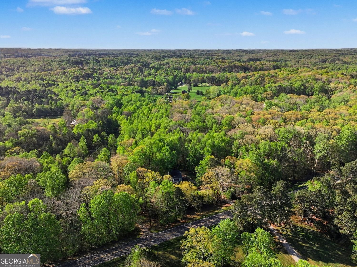 2758 Hightower Road Ball Ground - Photo 33